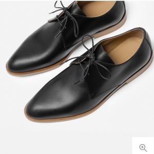 Everlane modern oxford 11
